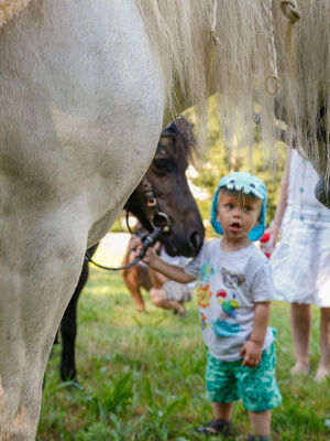 Familienhotel Mein Krug im Fichtelgebirge: Kinder und Pferde